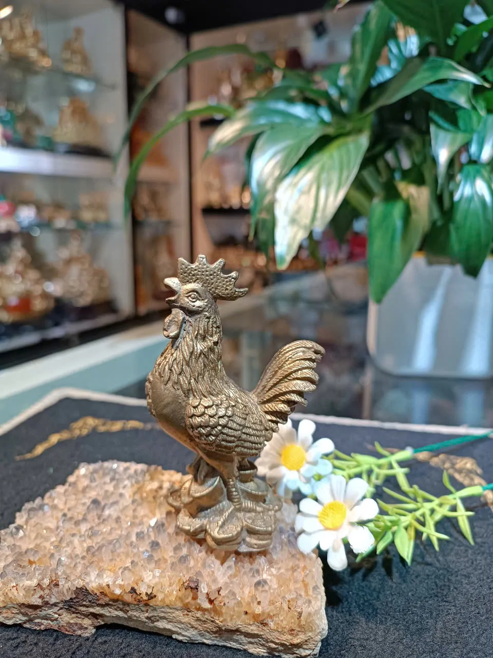 Gà ban phước 3 tấc D202
