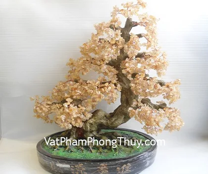 Cây đá thạch anh vàng lớn, dáng cao CA201