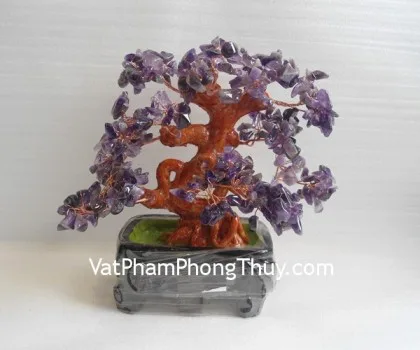 Cây Thạch Anh Tím Nhỏ FHCA262