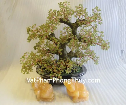 Cây đá cẩm lãm chậu tròn lớn CA217