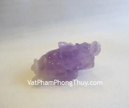 Rùa đầu rồng Hoàng long trơn GM031
