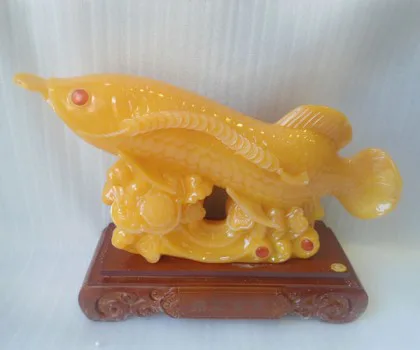 Cá kim long vàng ngọc nhỏ - chiêu tài kim long H282G