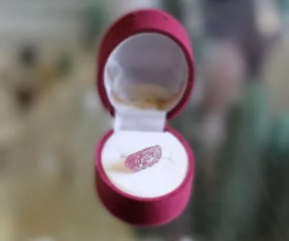 Tỳ hưu Ruby GCN 51084026228 S6287-259.93