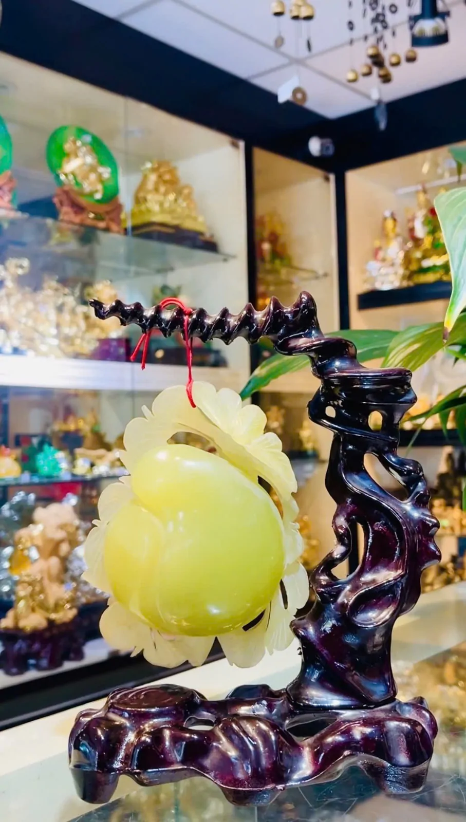 Qủa đào tiên Ngọc Liêu Ninh GM162