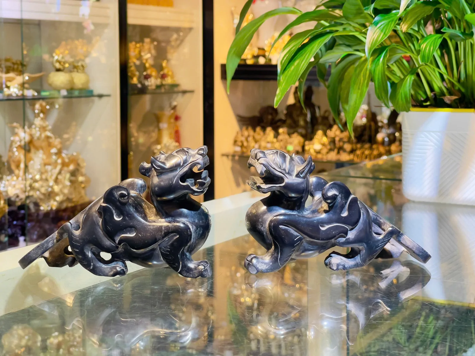 Tỳ hưu tiêu ngọc đen đuôi dài HM013
