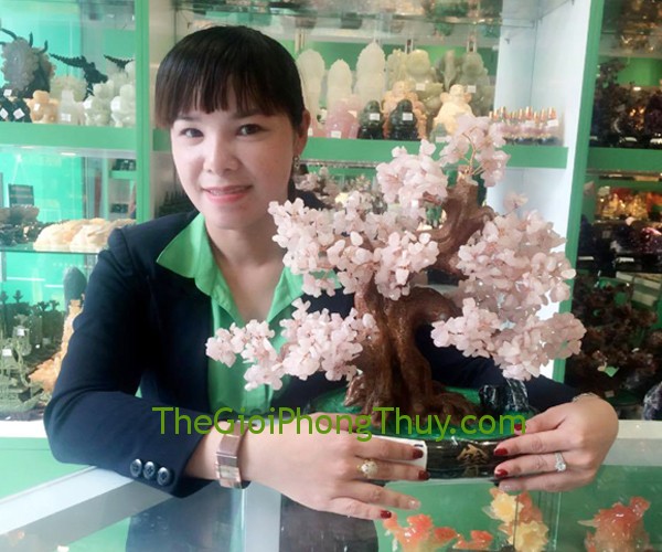 Chị Kiều Oanh - Khách hàng mua Cây Tài Lộc Thạch Anh Hồng - FHCA265