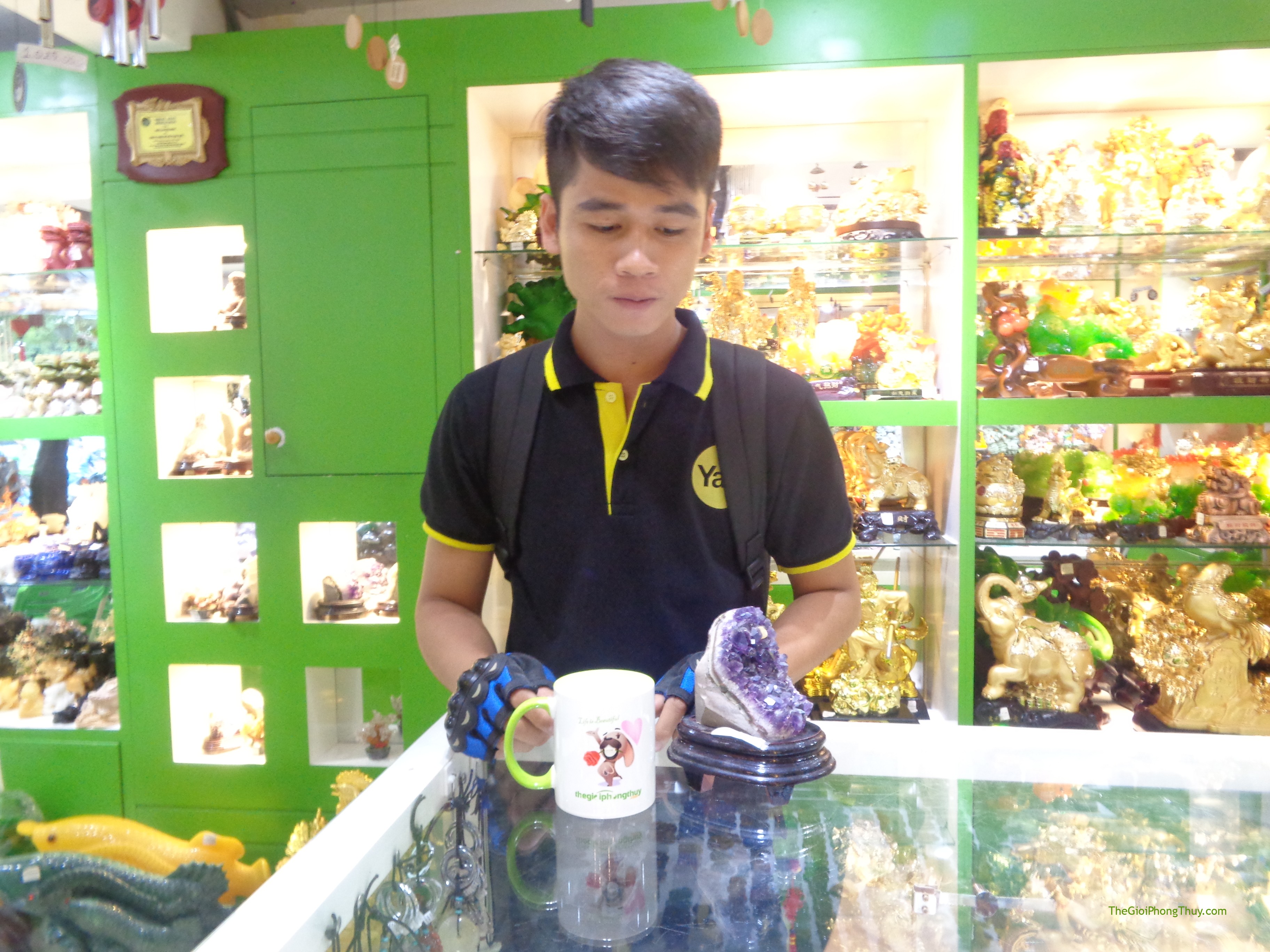 Anh Dương - Khách Hàng mua Bông Thạch Anh Tím FH089-4287