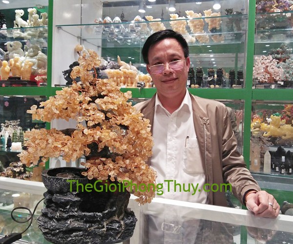Anh Thuận-Khách hàng mua Cây tài lộc thạch anh vàng phong thủy luân FKC035.