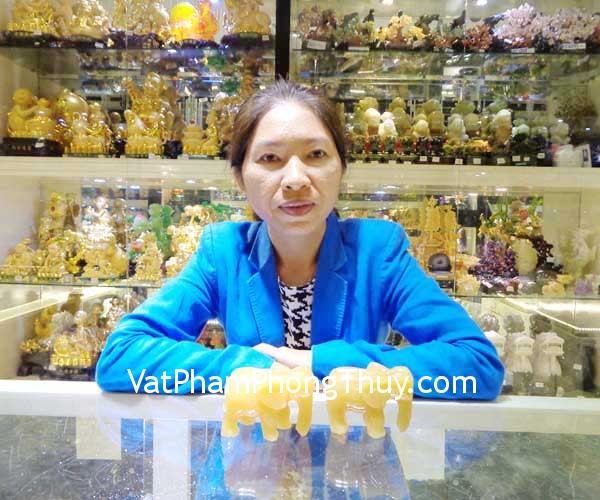 Chị Trang - khách hàng mua Voi Hoàng long H047