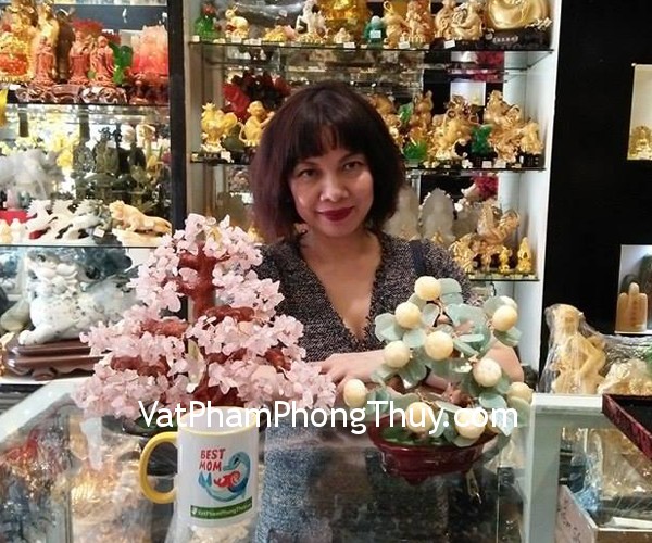 Chị Vân Anh - khách hàng mua Cây tắc (Quất) đá hoàng long + ngọc xanh đông linh R068 và cây tài lộc thạch thạch anh hồng lớn KC056