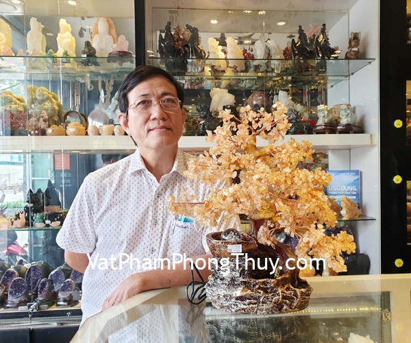 Chú Giám - khách hàng mua Cây phong thủy luân thạch anh vàng KC100
